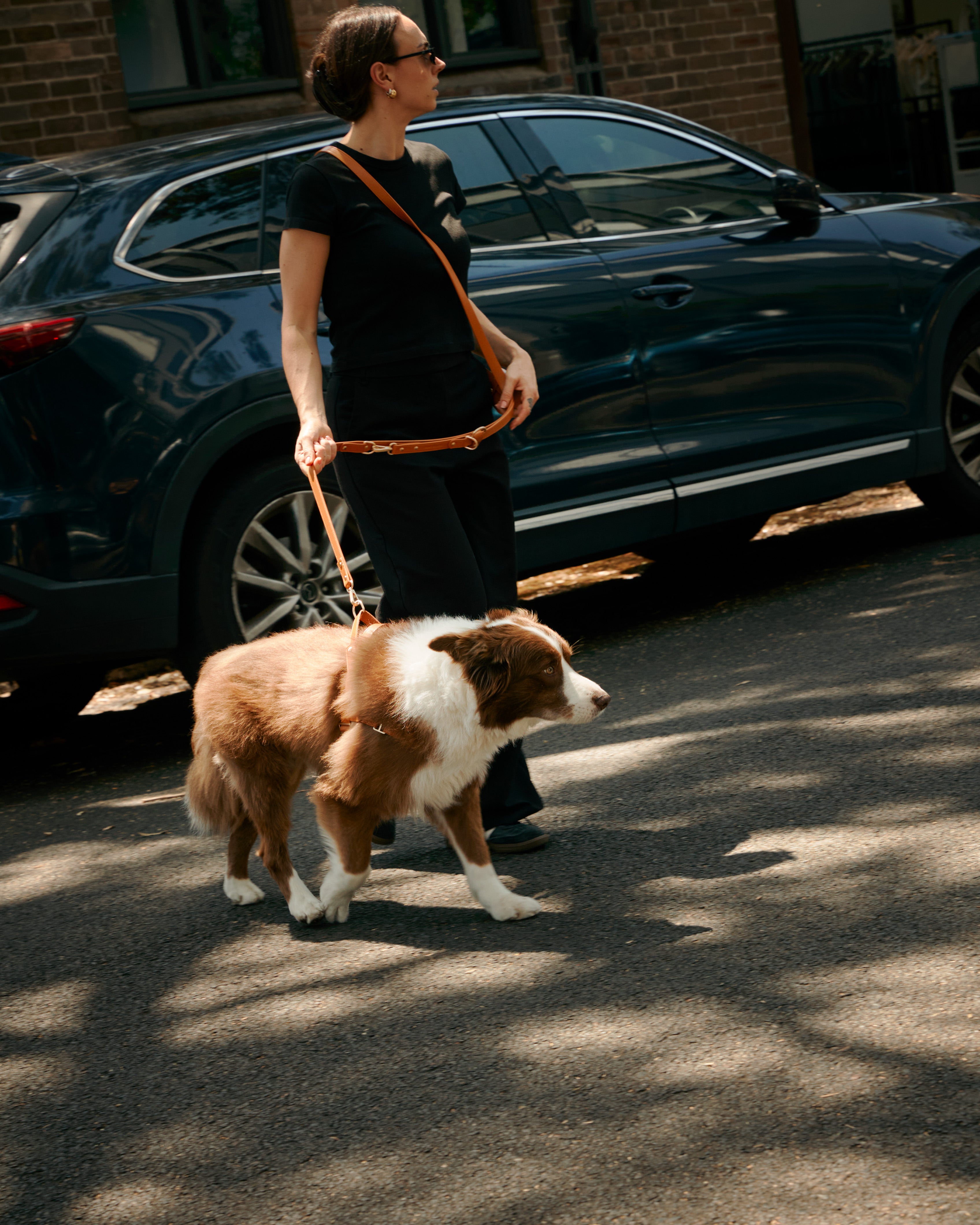 Fourways Leash