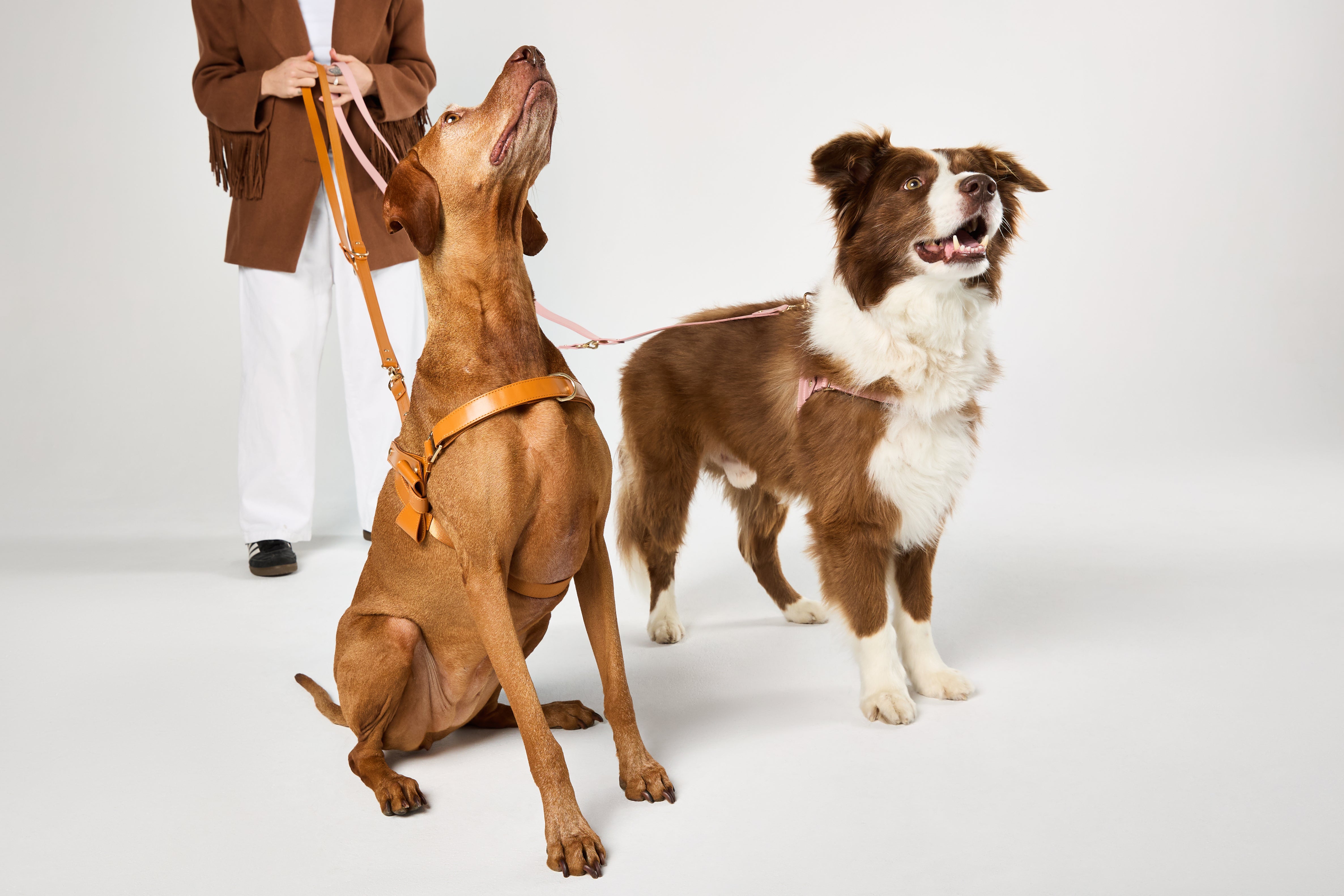 Fourways Leash