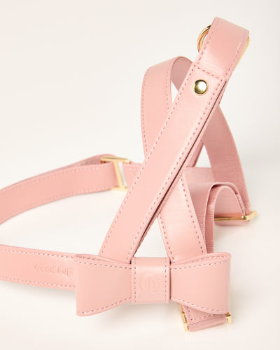 Harness