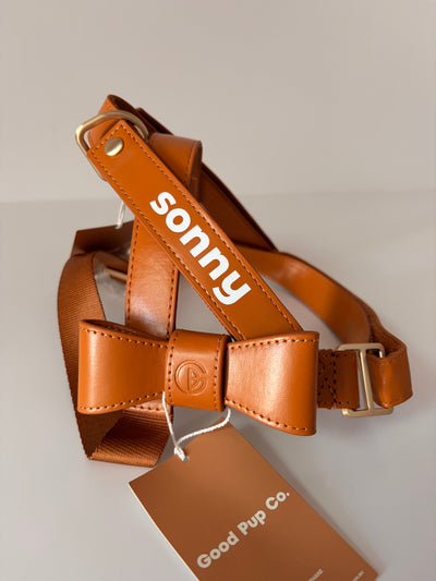 Harness