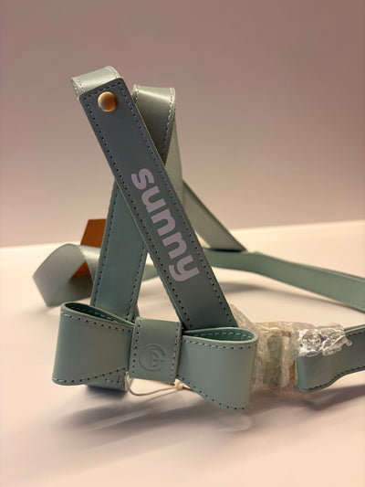 Harness