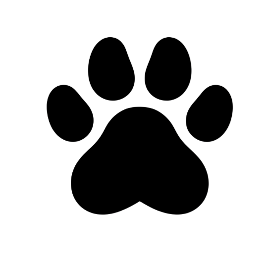 dog paw icon